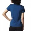 ADIDAS ORIGINALS KOSZULKA TREFOIL T-SHIRT AY6658 ADIDAS ORIGINALS KOSZULKA TREFOIL T-SHIRT AY6658